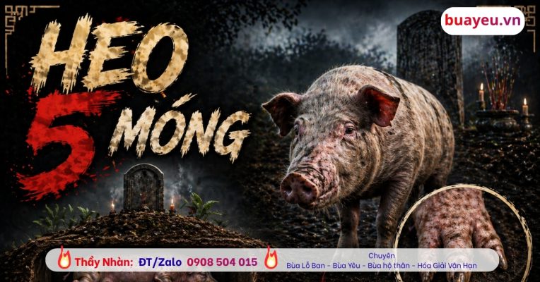 Heo 5 móng là gì